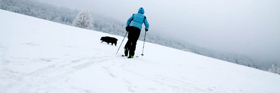 Bieg&oacute;wki zimą