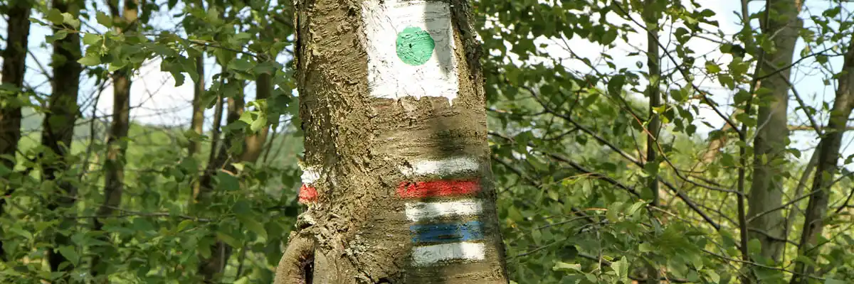 Szlaki piesze i konne