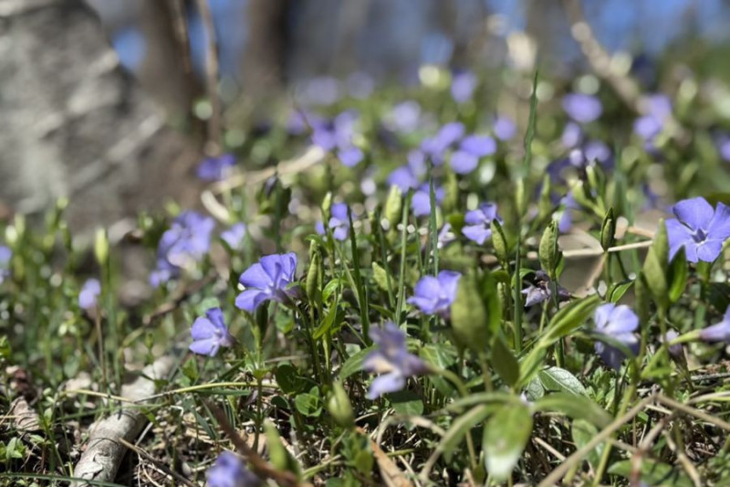 Trzy Przełęcze - wersja długa